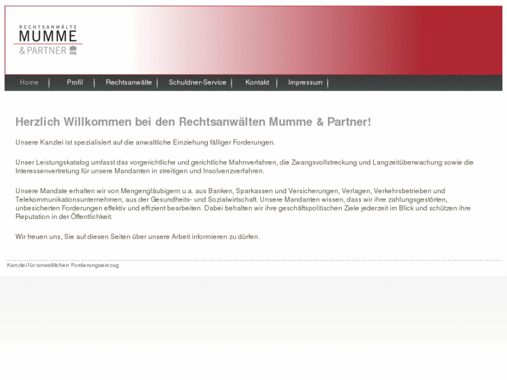 www.rae-mummeundpartner.de