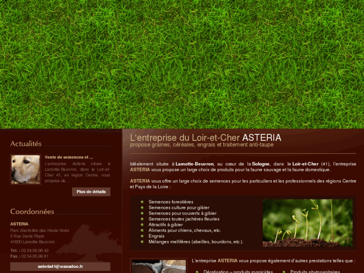 www.asteria-41.com