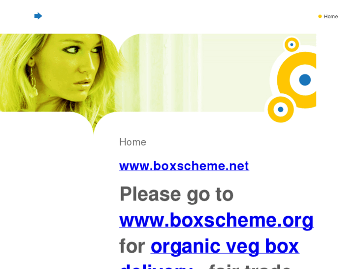 www.boxscheme.net