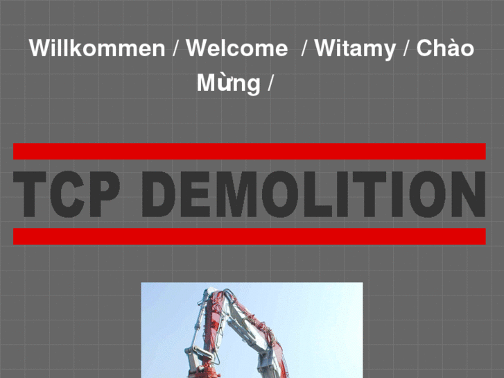 www.tcp-demolition.com