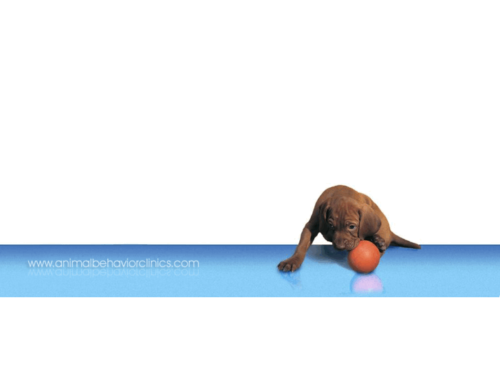 www.animalbehaviorclinics.com