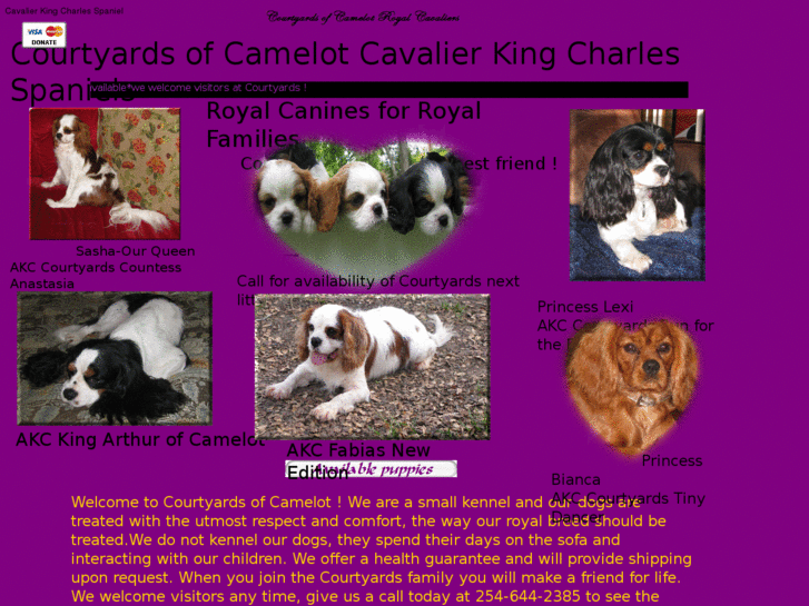 www.courtyardsofcamelotcavaliers.com