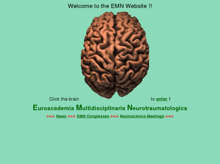 www.emn.cc