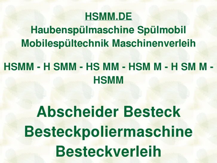 www.hsmm.de