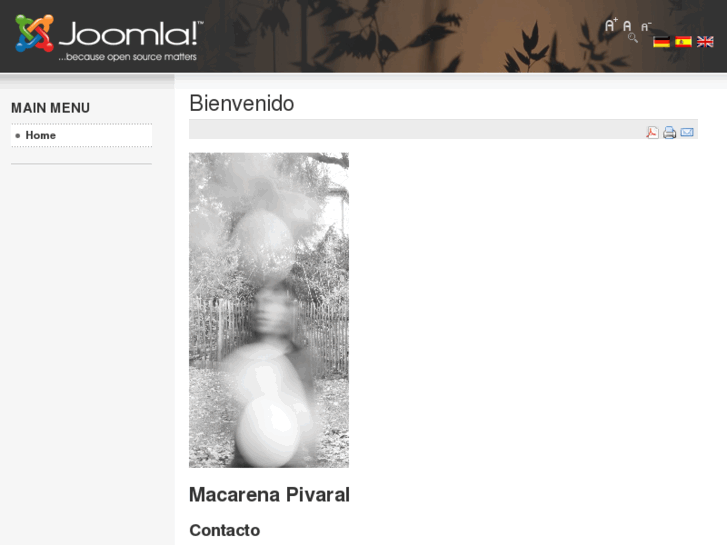 www.macarenapivaral.com