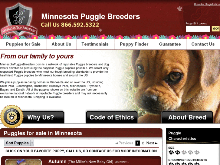 www.minnesotapugglebreeders.com