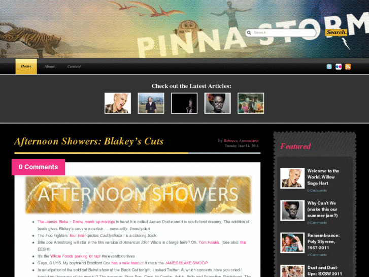 www.pinnastorm.com