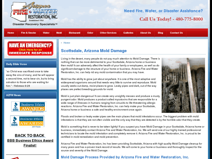 www.scottsdalemolddamage.com