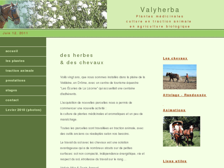 www.valyherba.com