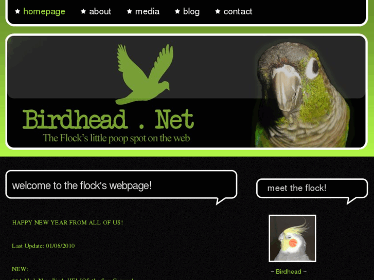 www.birdhead.net