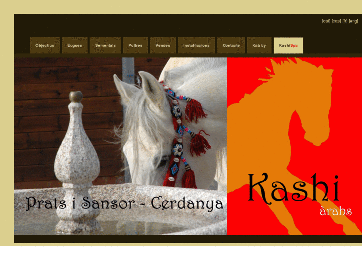 www.kashiarabs.com