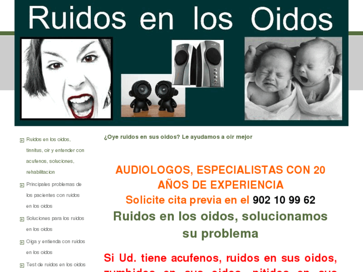 www.ruidosenlosoidos.es