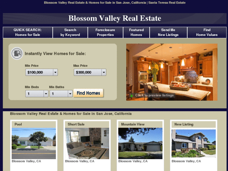 www.blossom-valley-realestate.com