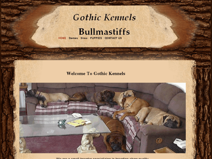 www.gothickennelsbullmastiffs.com