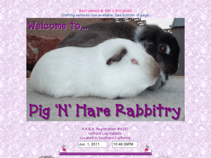 www.pignhare.com