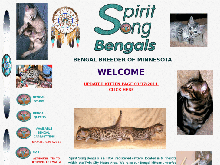 www.spiritsongbengals.com