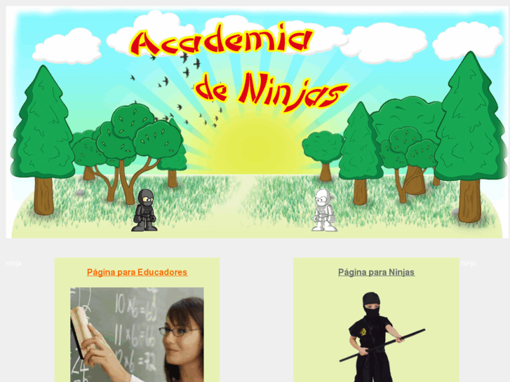 www.academiadeninjas.com