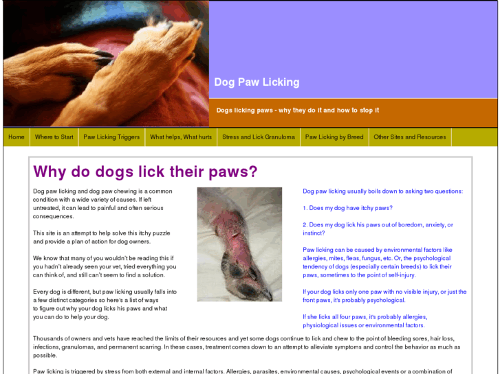 www.dogpawchewing.com