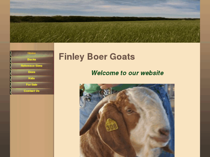 www.finleyboers.com