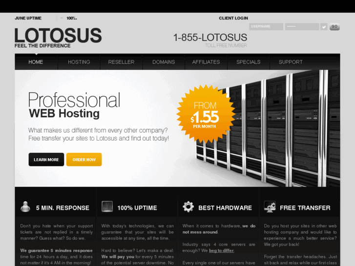 www.lotosus.com