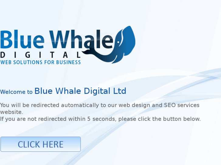 www.bluewhaledigital.com