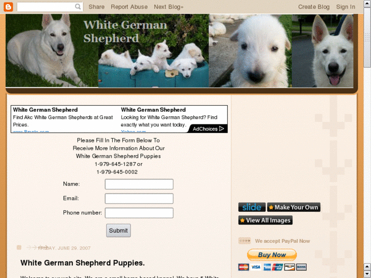 www.hoffmansgermanshepherds.com