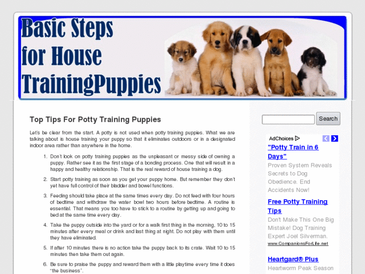 www.puppy-house-training.info