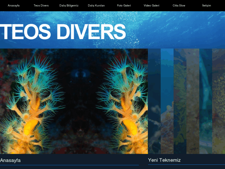 www.teosdivers.com