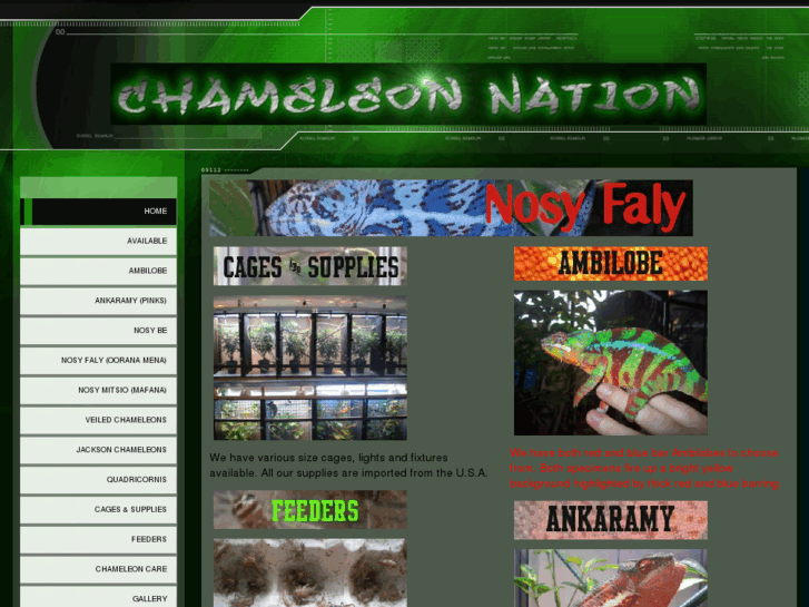 www.trinitychameleons.com