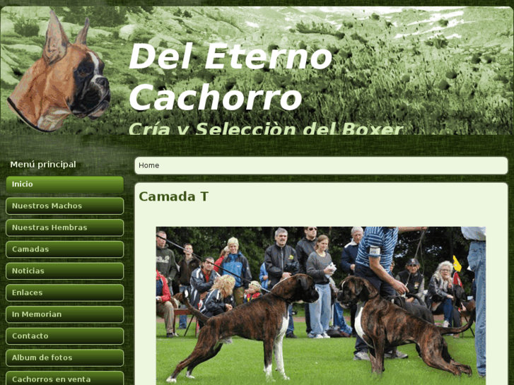 www.deleternocachorro.com