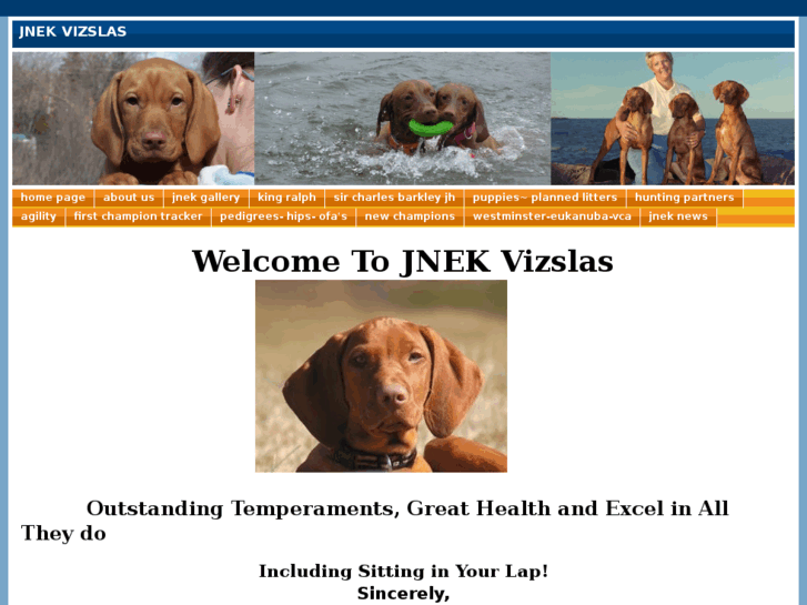 www.jnekvizslas.com