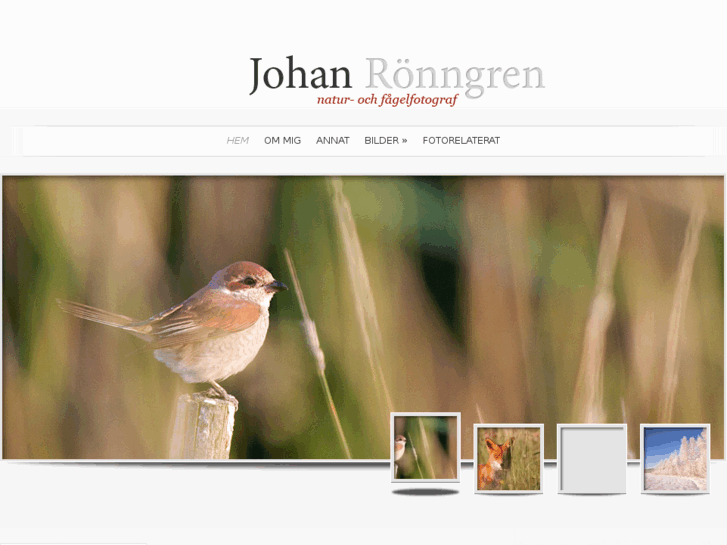 www.johanronngren.com