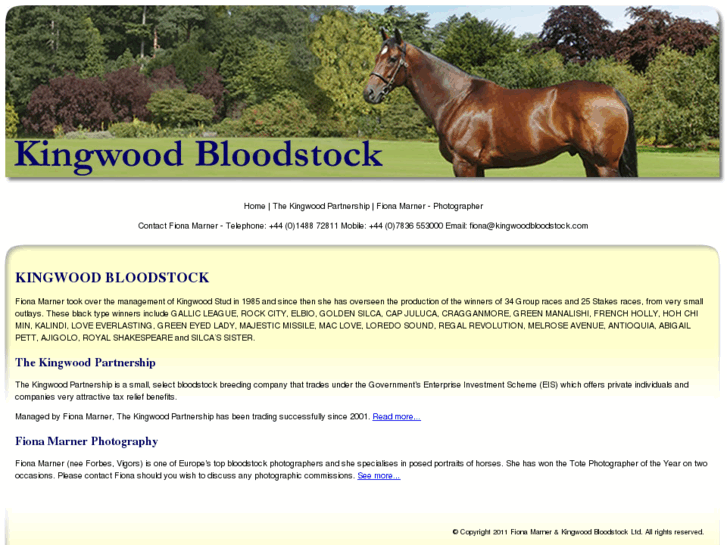 www.kingwoodbloodstock.com