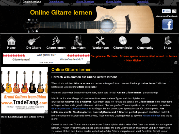 www.onlinegitarrelernen.de