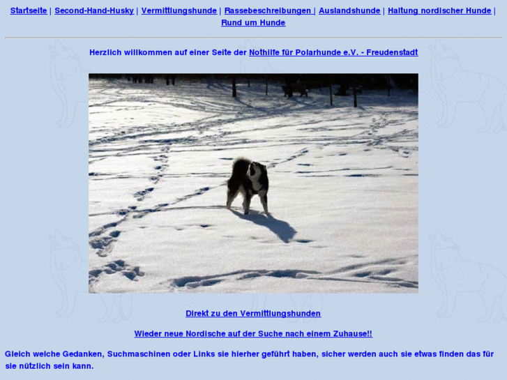 www.polarhunde.de