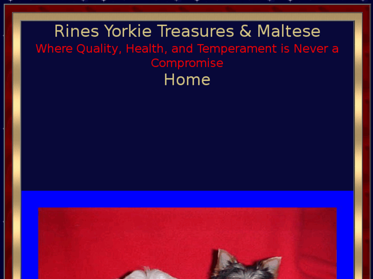 www.rinesyorkietreasures.com