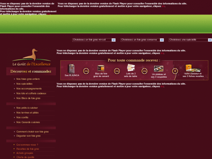 www.roger-junca.com