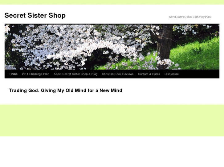 www.secretsistershop.com