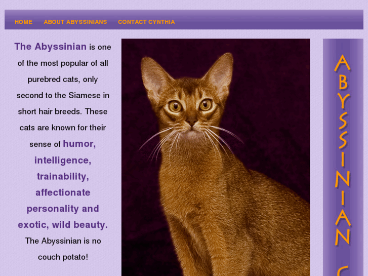 www.abyssiniancatsoregon.com