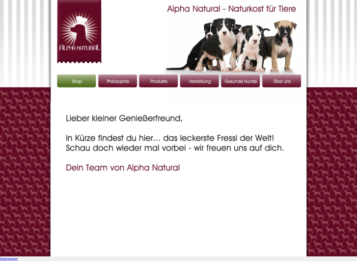 www.alpha-natural.com