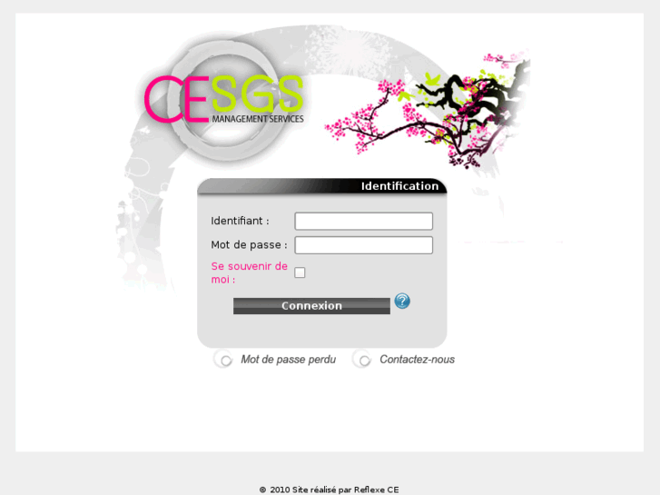 www.cesgsmanagement.com