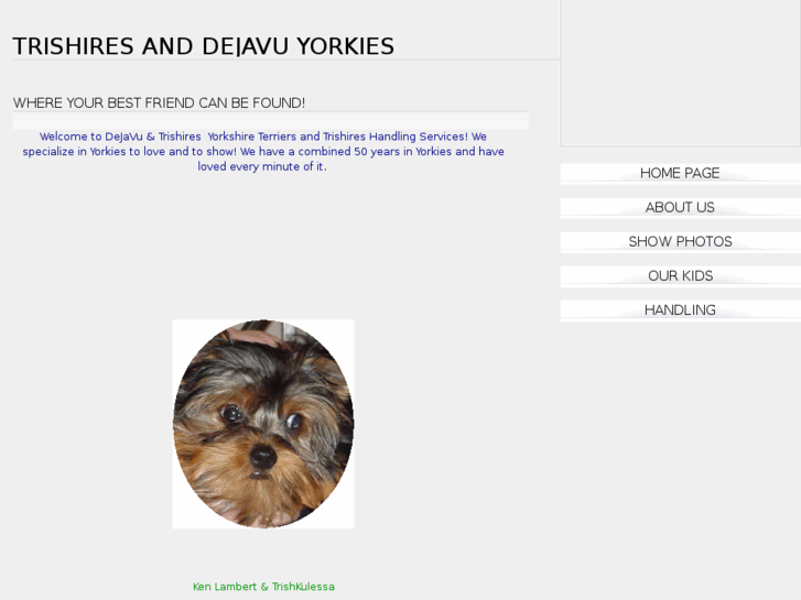 www.dejavuyorkies.com