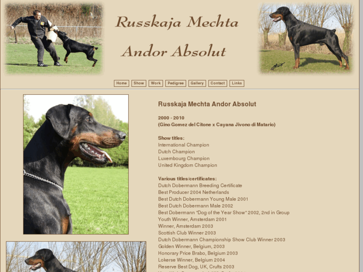 www.dobermanns.eu