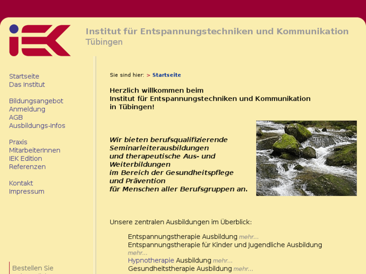 www.iek-tuebingen.com