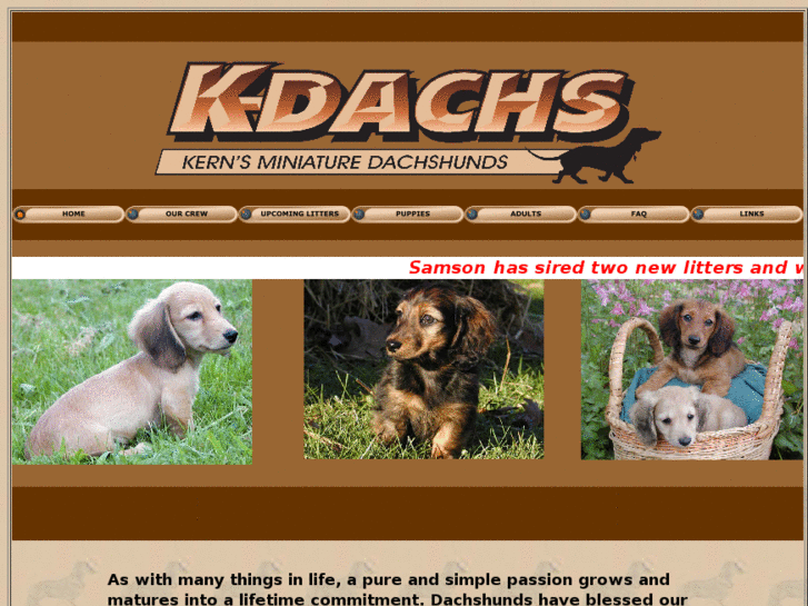 www.kdachs.com