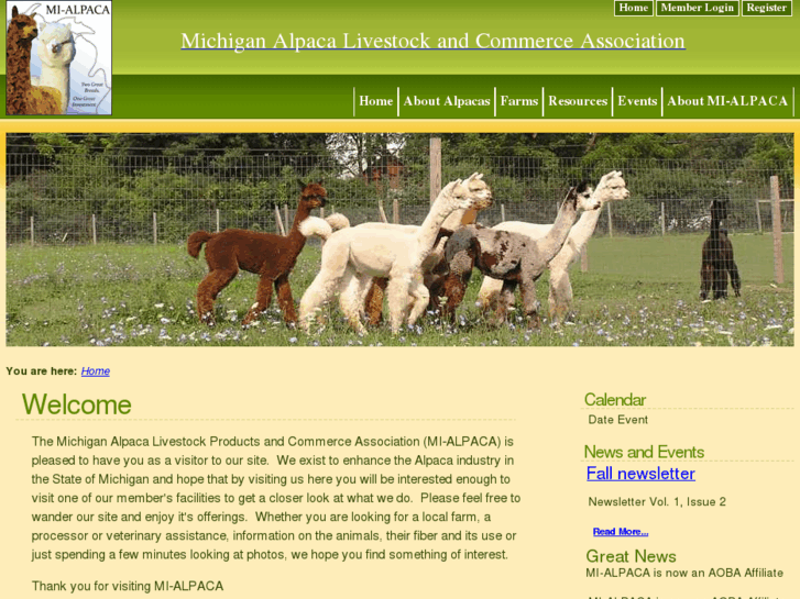 www.mialpaca.com