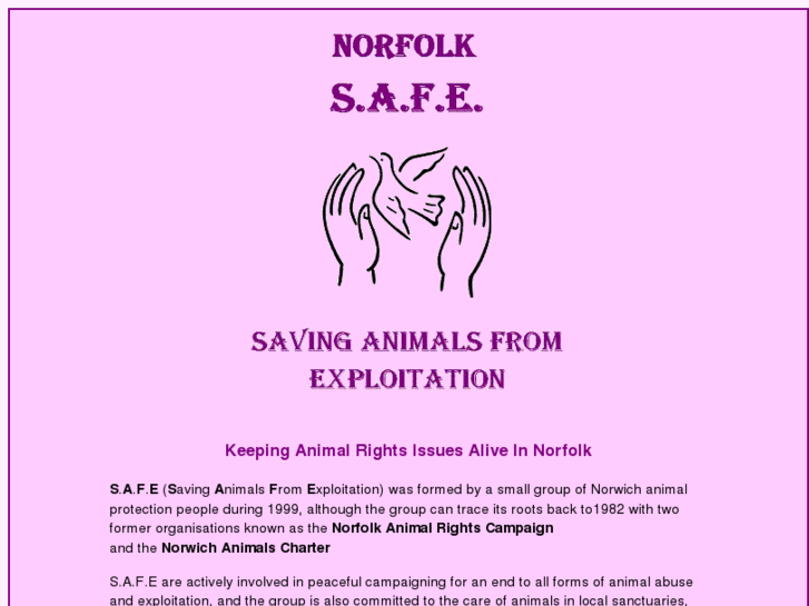 www.norfolksafe.org