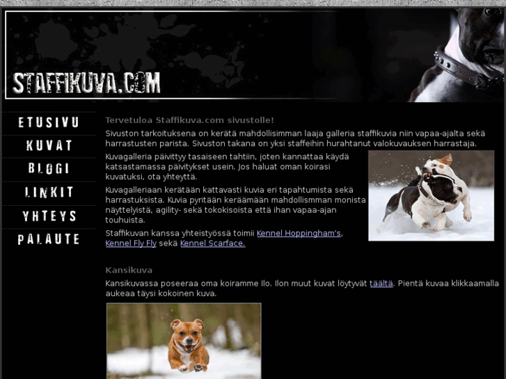 www.staffikuva.com