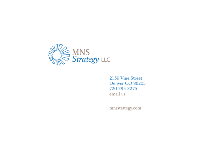 www.mnsstrategy.com