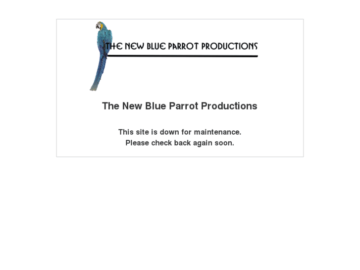 www.newblueparrot.com